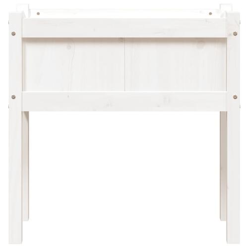 Plantekasse med ben 70x31x70 cm massivt fyrretræ hvid