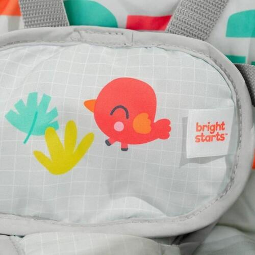Bright Starts hængekøje - multifarvet babygynge