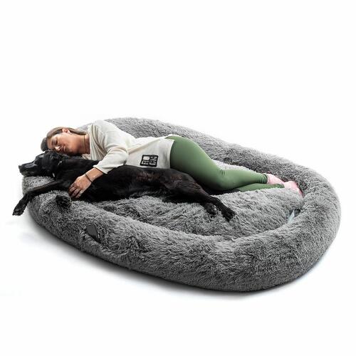 Hundeseng til mennesker - Human Dog Bed XXL Grey