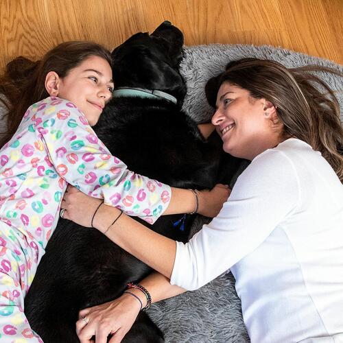 Hundeseng til mennesker - Human Dog Bed XXL Grey