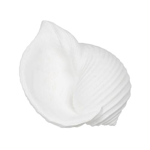 Dekorativ figur Hvid Snegl 15 x 11 x 9 cm