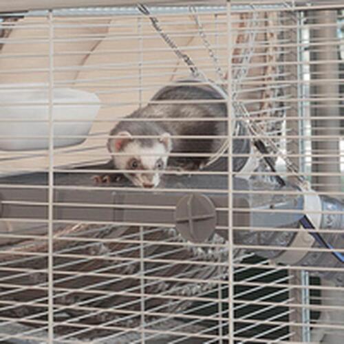 Bur Ferplast Furet Power Metal/Plastik