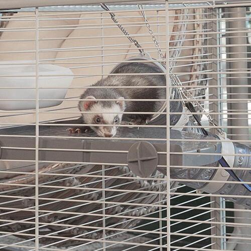 Bur Ferplast Furet Power Metal/Plastik