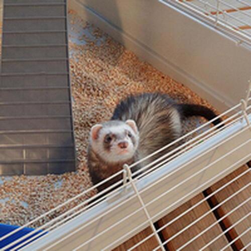 Bur Ferplast Furet Power Metal/Plastik