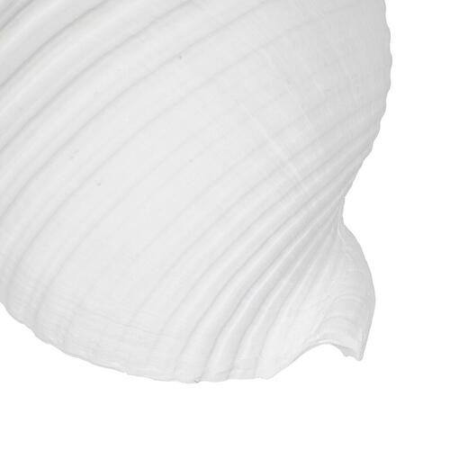 Dekorativ figur Hvid Snegl 11 x 9 x 8 cm