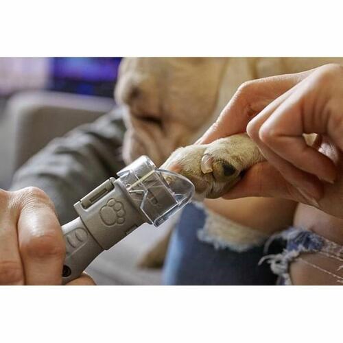 Slibeskiver Dremel PG10 Neglefil Hund (10 enheder)