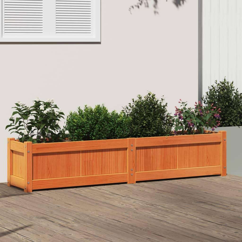 Plantekasse 150x31x31 cm massivt fyrretræ gyldenbrun