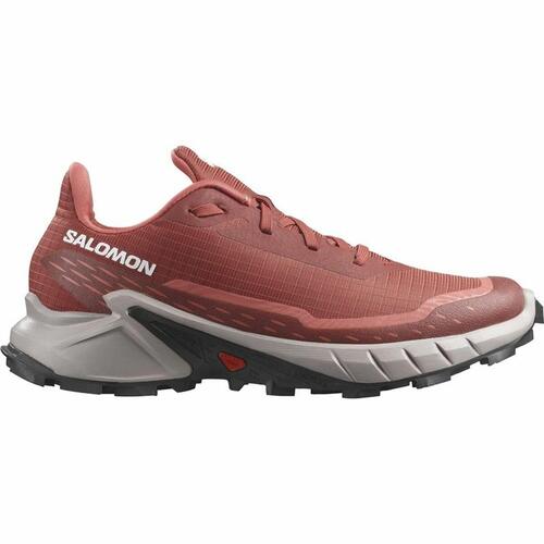 Sportssneakers til damer Salomon Alphacross 5 Rød 38