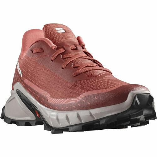 Sportssneakers til damer Salomon Alphacross 5 Rød 38