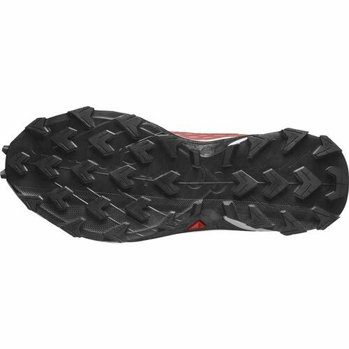 Sportssneakers til damer Salomon Alphacross 5 Rød 38