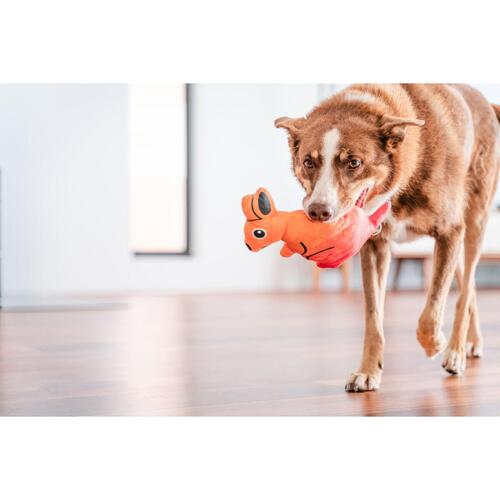Legetøj til hunde Red Dingo 23,5 cm Kænguru Indendørs/Udvendig