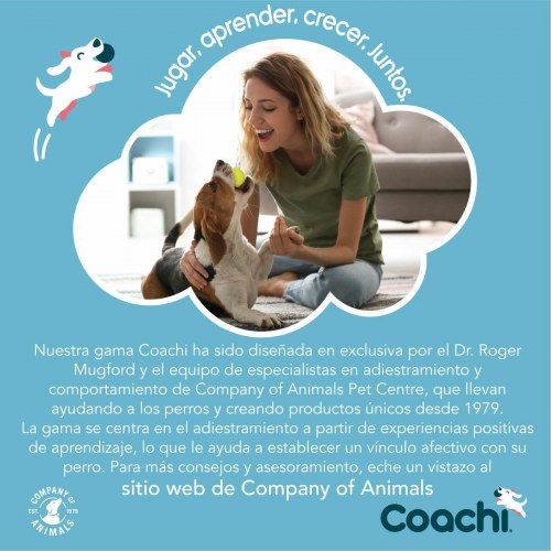 Coachi Training Toy Stick - Blå hundetræningslegetøj