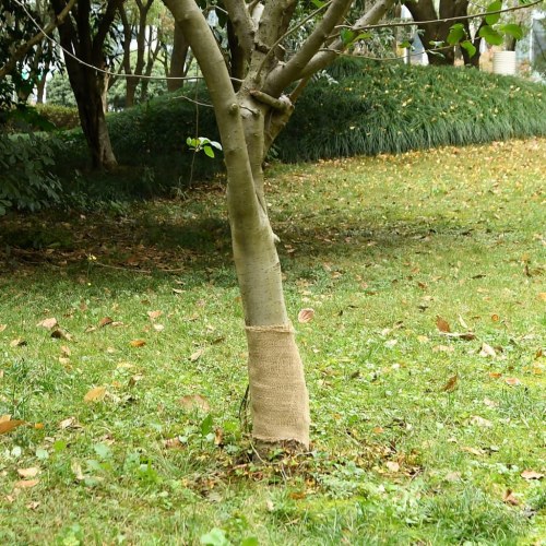 Juterulle 0,25 × 10 m - 200 g/m² - 100 % jute