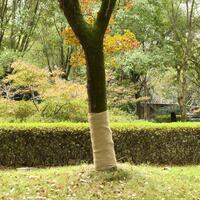 Juterulle 1x50 m 200 gsm 100 % jute