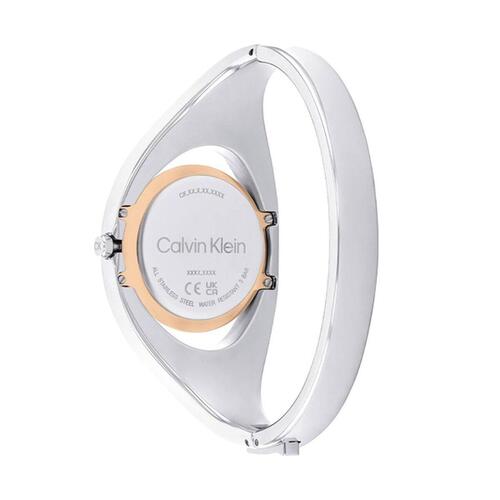 Dameur Calvin Klein 25200 Guld