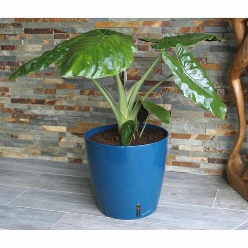 Urtepotte Riss RIV3580796331061 Ø 30 cm