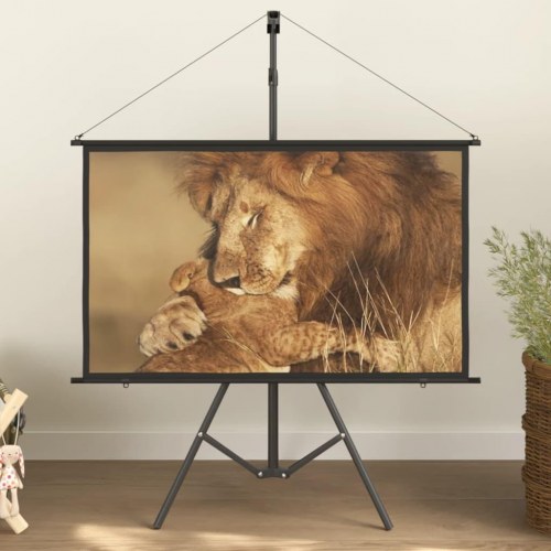 Projektorlærred med trefod 50" 16:9