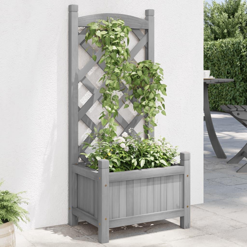 Plantekasse med espalier massivt grantræ grå