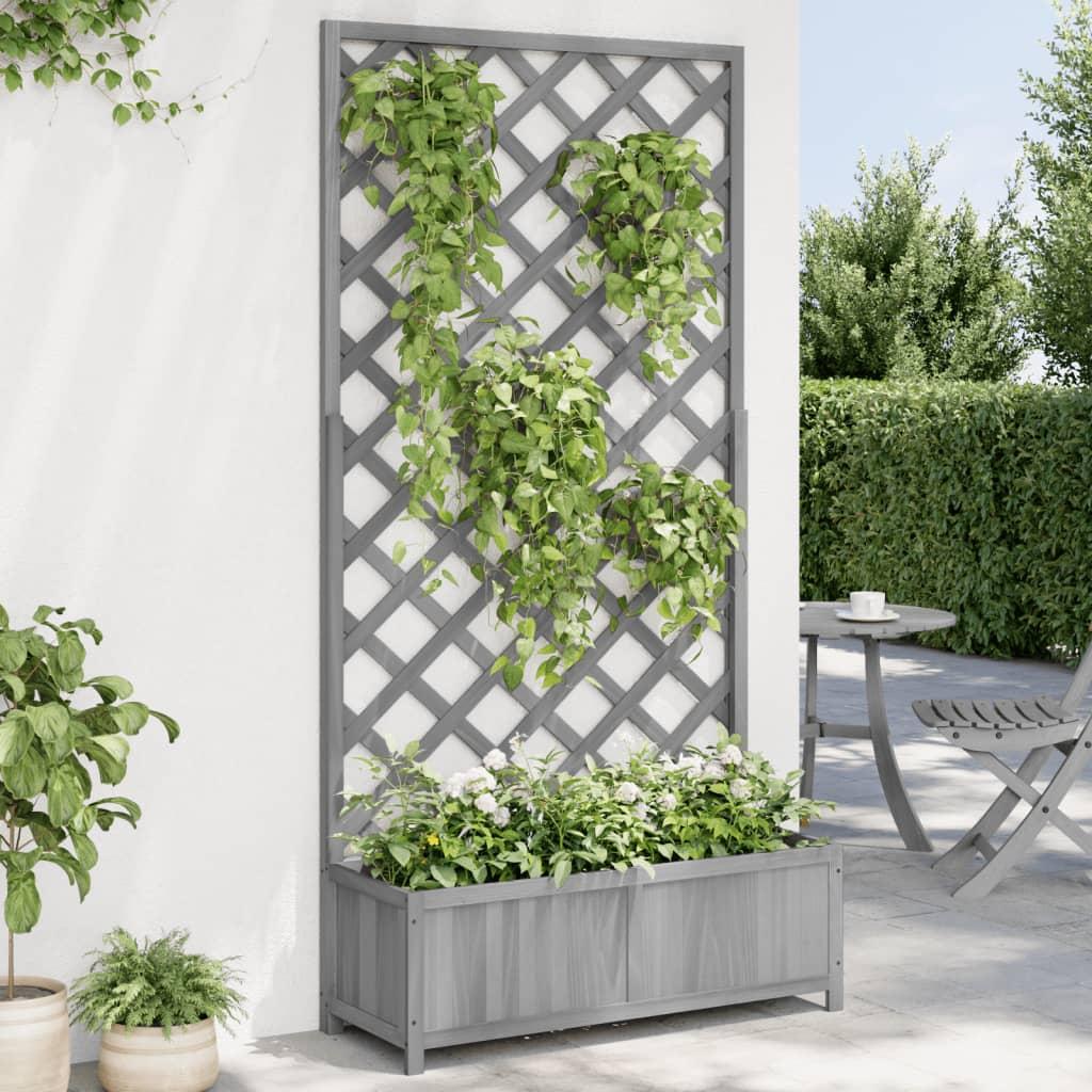 Plantekasse Med Espalier Massivt Fyrretræ - Grå / 90 x 35 x 180 cm