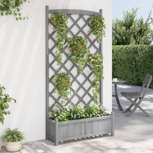 Plantekasse med espalier massivt grantræ grå