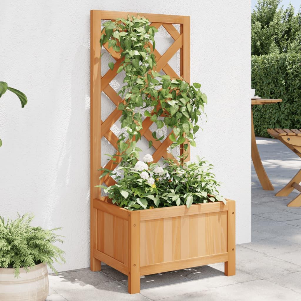 Plantekasse Med Espalier Massivt Fyrretræ - Brun / 40 x 30 x 90 cm