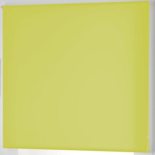 Gennemsigtigt rullegardin Naturals Pistacie 140 x 250 cm