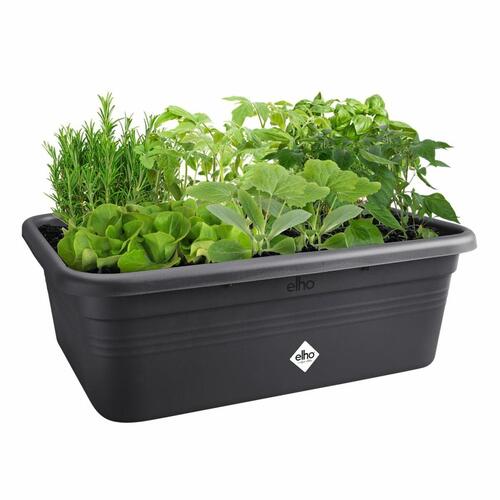 Urtepotte Elho 7,4 x 76 x 26,8 cm Sort Plastik Firkantet