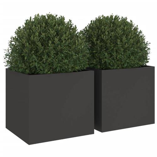 Plantekasser 2 stk. 32x30x29 cm stål sort