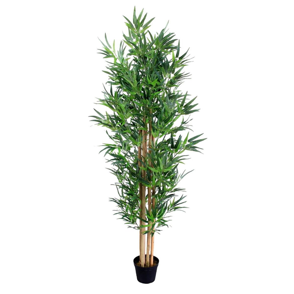 Dekorativ Plante Cement Materiale Bambus 210 Cm