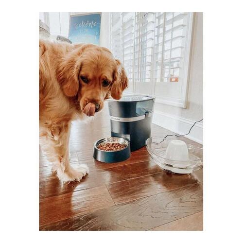 Automatisk feeder PetSafe Sort Rustfrit stål