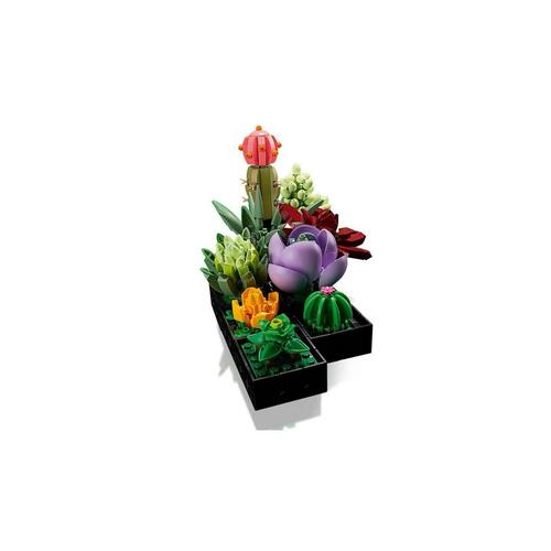 Konstruktionsspil Lego Succulent 10309 771 Dele Multifarvet