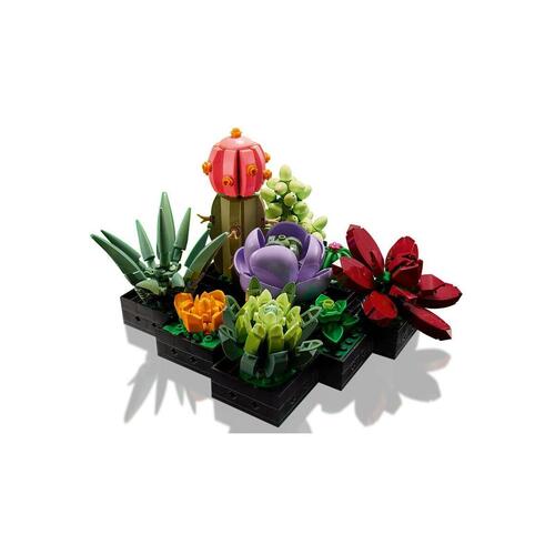 Konstruktionsspil Lego Succulent 10309 771 Dele Multifarvet