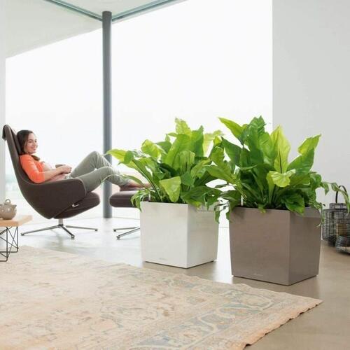 Selvvandende pot Lechuza Hvid 40 x 40 cm polypropylen Plastik