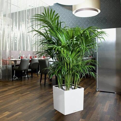 Selvvandende pot Lechuza Hvid 40 x 40 cm polypropylen Plastik