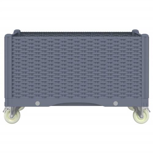 Plantekasse med hjul 80x50x54 cm PP blågrå