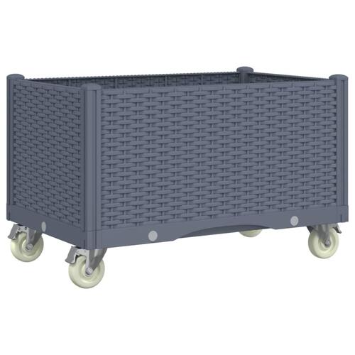 Plantekasse med hjul 80x50x54 cm PP blågrå