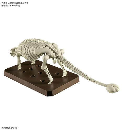 Action Figurer Bandai PLANNOSAURUS ANKYLOSAURUS