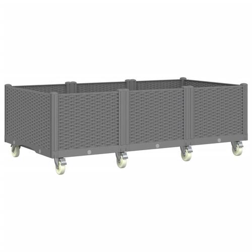 Plantekasse med hjul 150x80x54 cm PP lysegrå