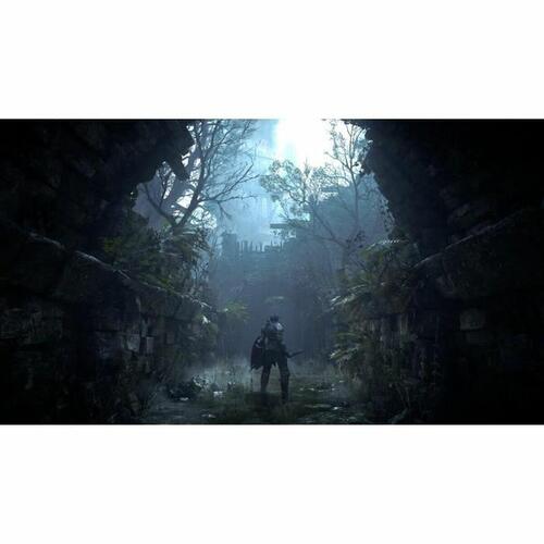 PlayStation 5 spil Sony Demon's Souls
