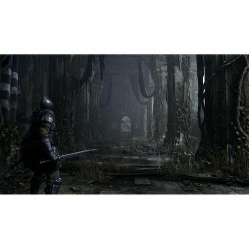 PlayStation 5 spil Sony Demon's Souls