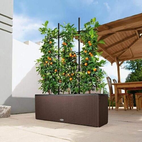 Selvvandende planter Lechuza TRIO Cottage Sort polypropylen 100 x 32,5 x 34,5 cm