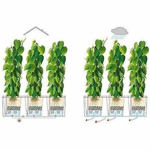 Selvvandende planter Lechuza TRIO Cottage Sort polypropylen 100 x 32,5 x 34,5 cm