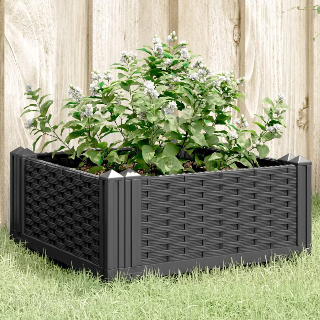 Plantekasse med spyd 42,5x42,5x28,5 cm PP sort billede