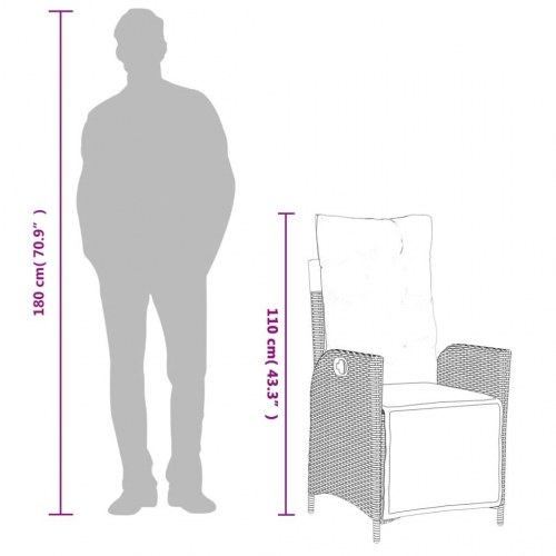 Havestole 2 stk. lænefunktion og fodstøtte polyrattan beige