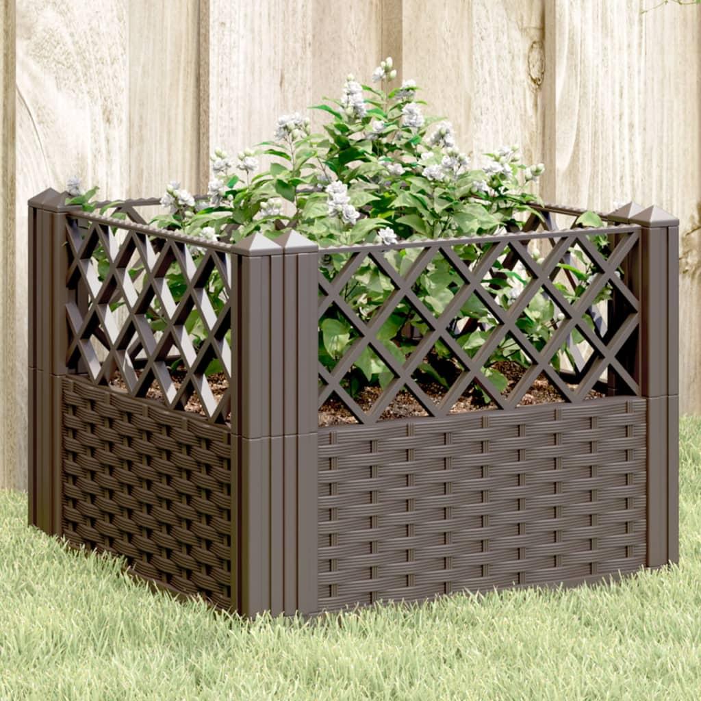 Plantekasse Med Spyd 5x43 5x43 Brun