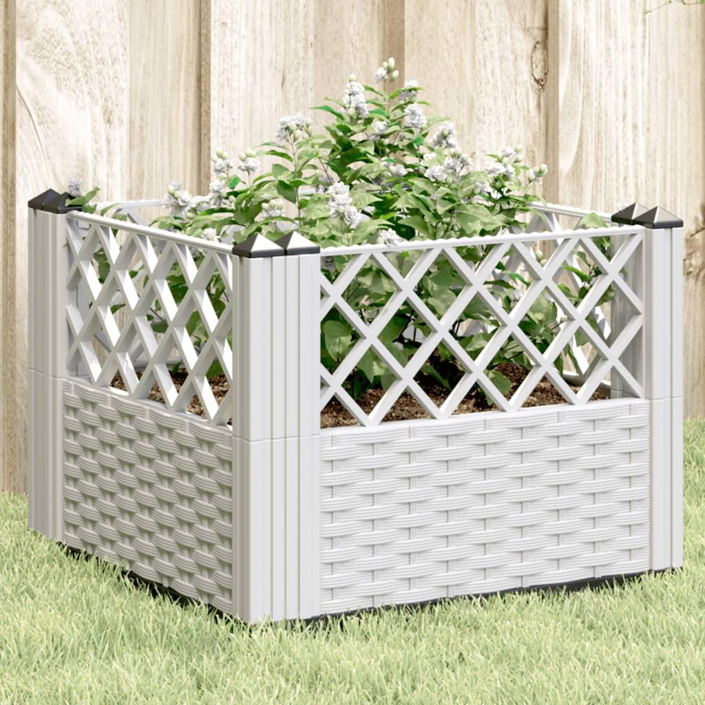 Plantekasse Med Spyd 5x43 5x43 Hvid
