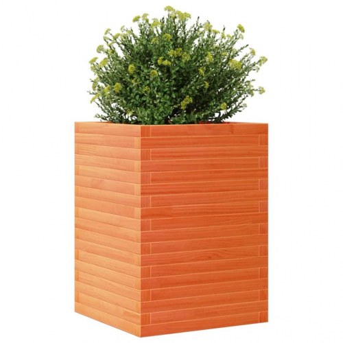 Plantekasse 50 x 50 x 68,5 cm i massivt fyrretræ - gyldenbrun