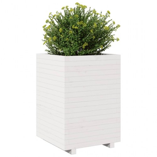 Plantekasse 50 x 50 x 72,5 cm i massivt fyrretræ - hvid