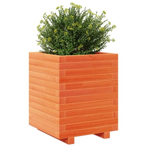 Plantekasse i massivt fyrretræ 40 x 40 x 49,5 cm - gyldenbrun