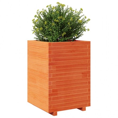 Plantekasse 50 x 50 x 72,5 cm i massivt fyrretræ - gyldenbrun